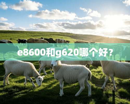 e8600和g620哪个好？