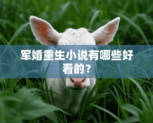 军婚重生小说有哪些好看的？