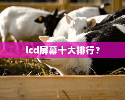 lcd屏幕十大排行？