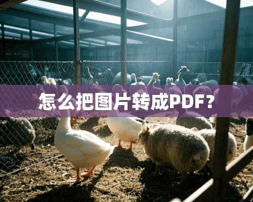 怎么把图片转成PDF？