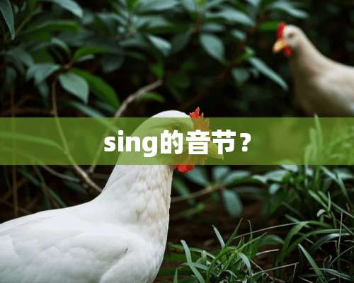 sing的音节？