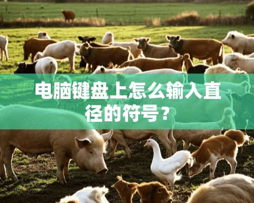 电脑键盘上怎么输入直径的符号？