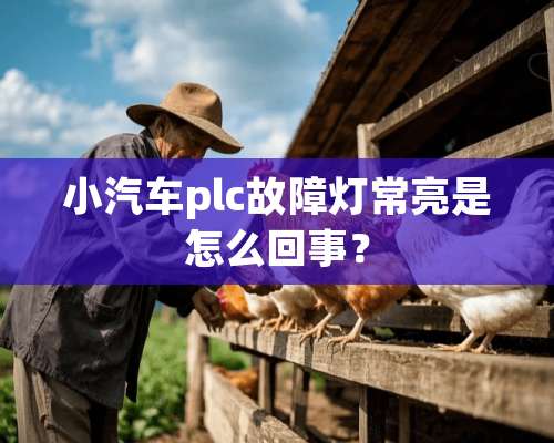 小汽车plc故障灯常亮是怎么回事？