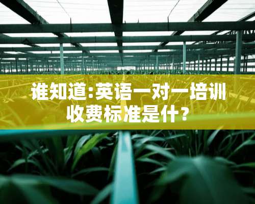 谁知道:英语一对一培训收费标准是什？