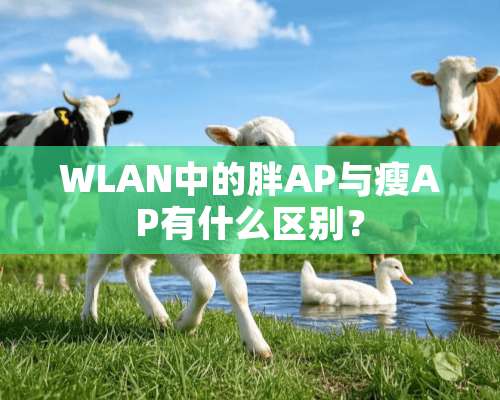 WLAN中的胖AP与瘦AP有什么区别？