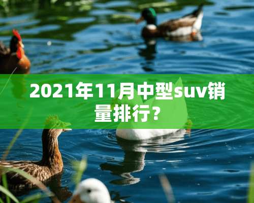 2021年11月中型suv销量排行？