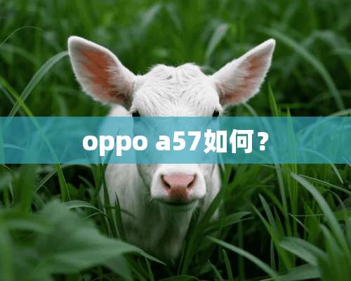 oppo a57如何？