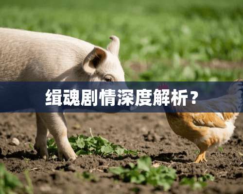 缉魂剧情深度解析？