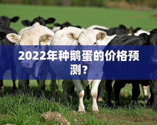 2022年种鹅蛋的价格预测？