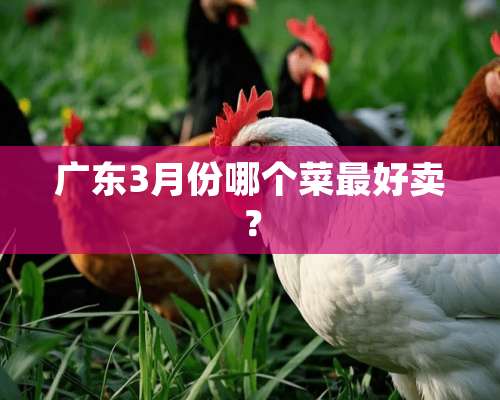 广东3月份哪个菜最好卖？