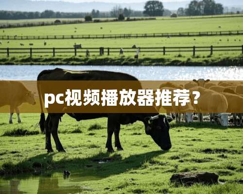 pc视频播放器推荐？