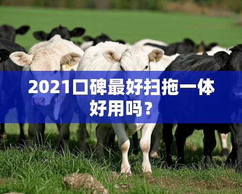 2021口碑最好扫拖一体好用吗？