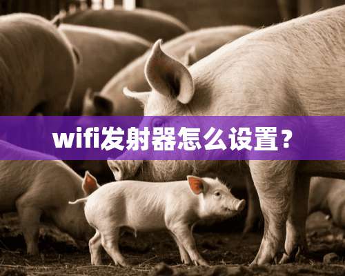 wifi发射器怎么设置？