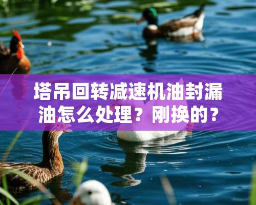 塔吊回转减速机油封漏油怎么处理？刚换的？