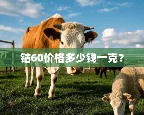 钴60价格多少钱一克？