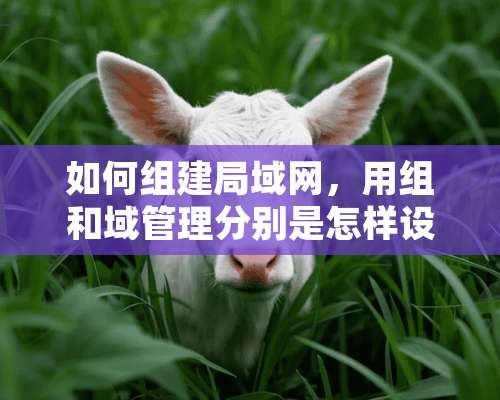 如何组建局域网，用组和域管理分别是怎样设置的？