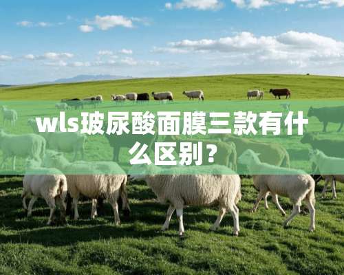 wls玻尿酸面膜三款有什么区别？