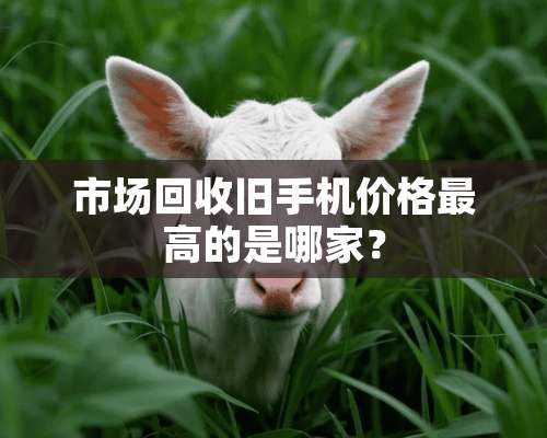 市场回收旧手机价格最高的是哪家？