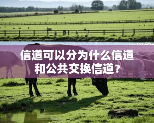 信道可以分为什么信道和公共交换信道？