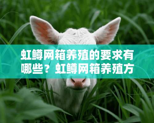 虹鳟网箱养殖的要求有哪些？虹鳟网箱养殖方法介绍