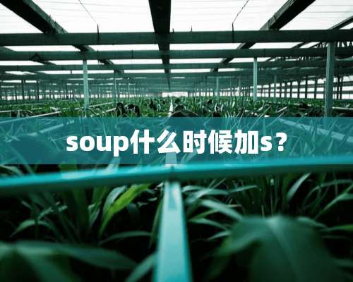 soup什么时候加s？