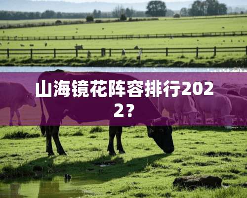 山海镜花阵容排行2022？