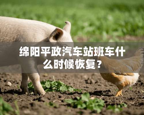 绵阳平政汽车站班车什么时候恢复？