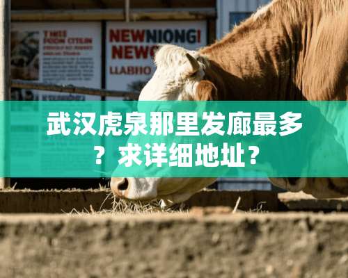 武汉虎泉那里发廊最多？求详细地址？