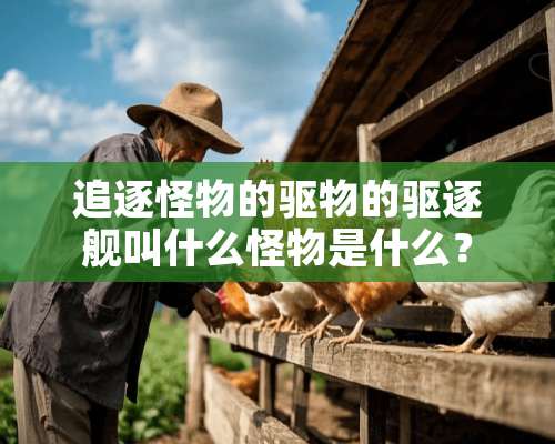 追逐怪物的驱物的驱逐舰叫什么怪物是什么？