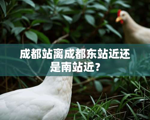 成都站离成都东站近还是南站近？