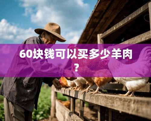 60块钱可以买多少羊肉？