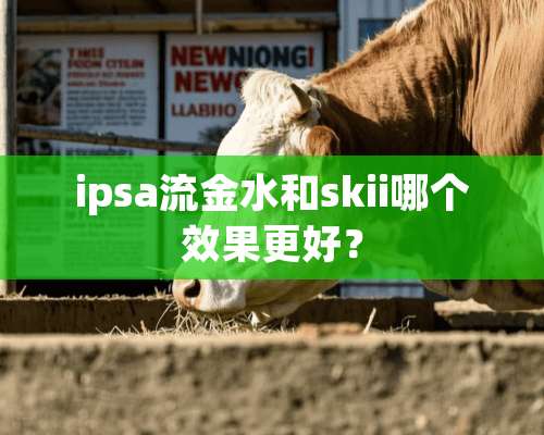 ipsa流金水和skii哪个效果更好？