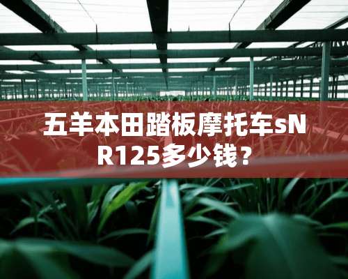 五羊本田踏板摩托车sNR125多少钱？