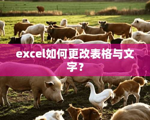 excel如何更改表格与文字？