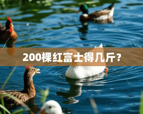 200棵红富士得几斤？