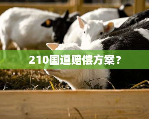 210国道赔偿方案？