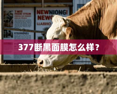 377断黑面膜怎么样？