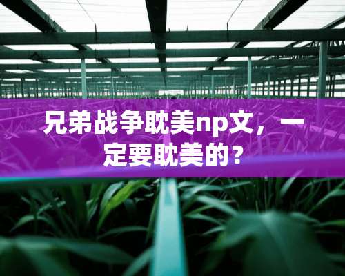 兄弟战争**np文，一定要**的？