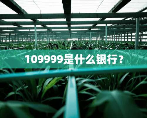 109999是什么银行？