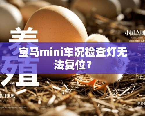 宝马mini车况检查灯无法复位？