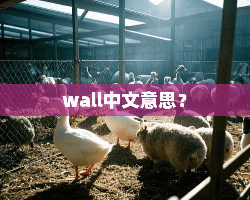 wall中文意思？