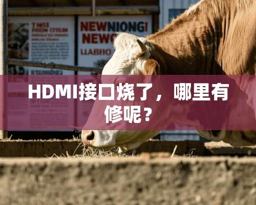 HDMI接口烧了，哪里有修呢？