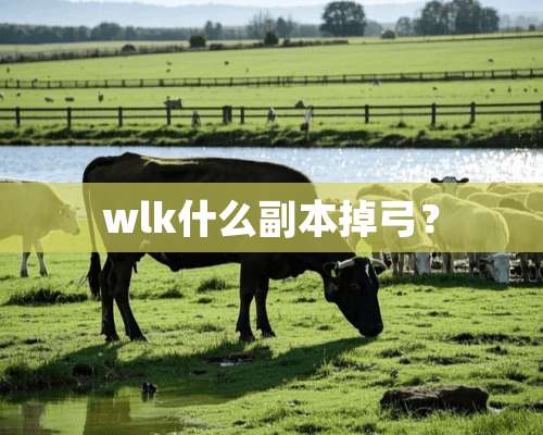 wlk什么副本掉弓？