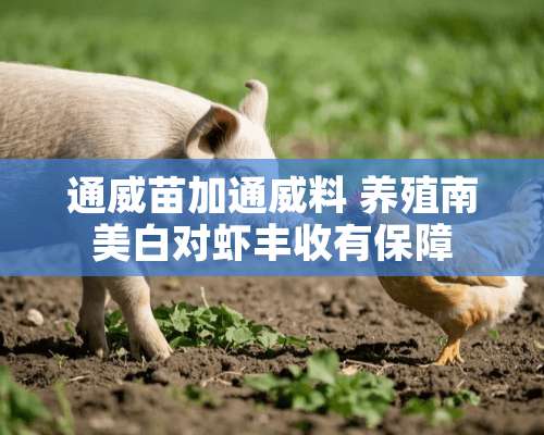 通威苗加通威料 养殖南美白对虾丰收有保障