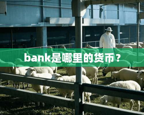 bank是哪里的货币？