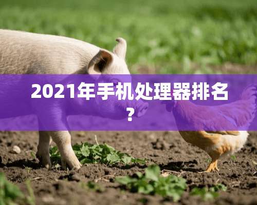 2021年手机处理器排名？