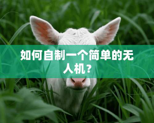 如何自制一个简单的无人机？