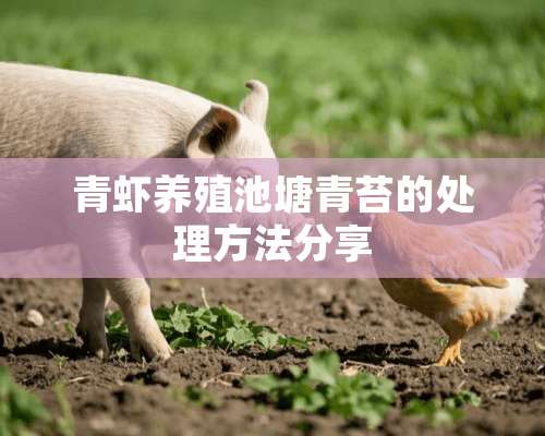 青虾养殖池塘青苔的处理方法分享