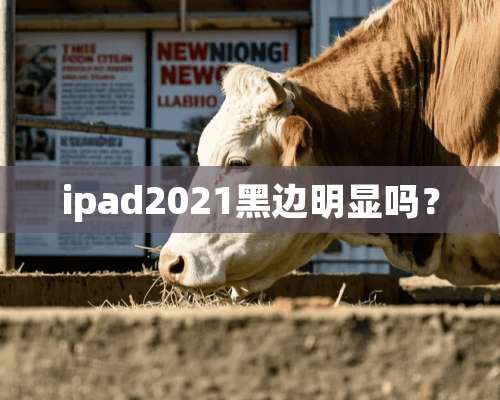 ipad2021黑边明显吗？