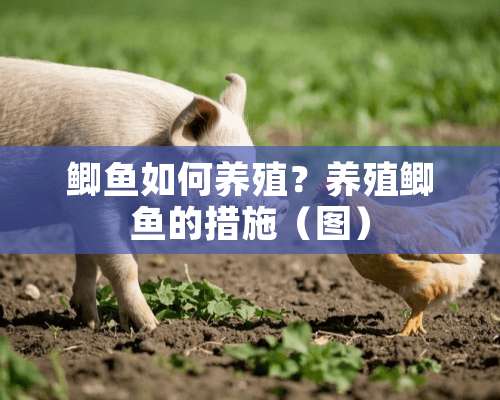 鲫鱼如何养殖？养殖鲫鱼的措施（图）